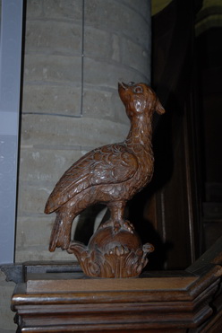 aigle